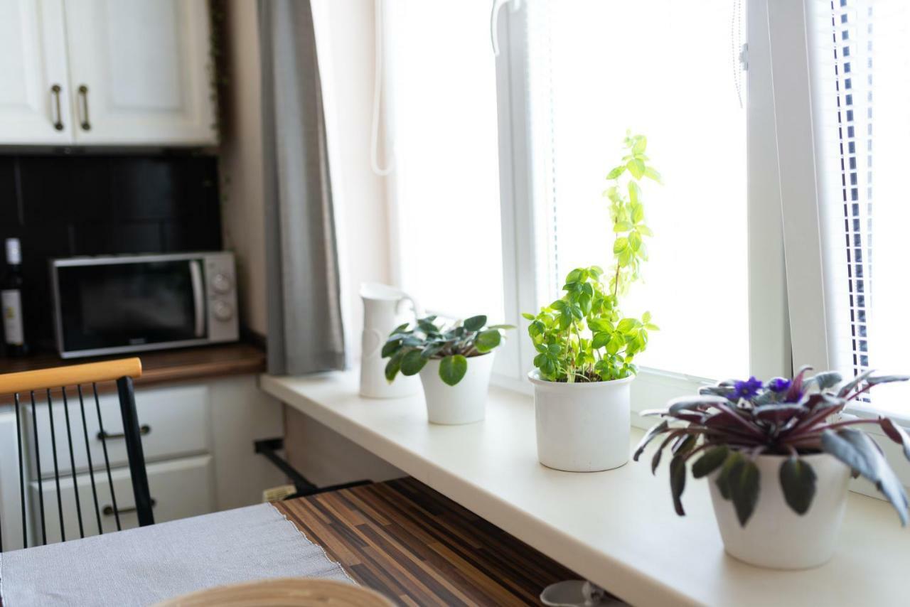 Old Town Vintage Apartment Sturova コシツェ エクステリア 写真