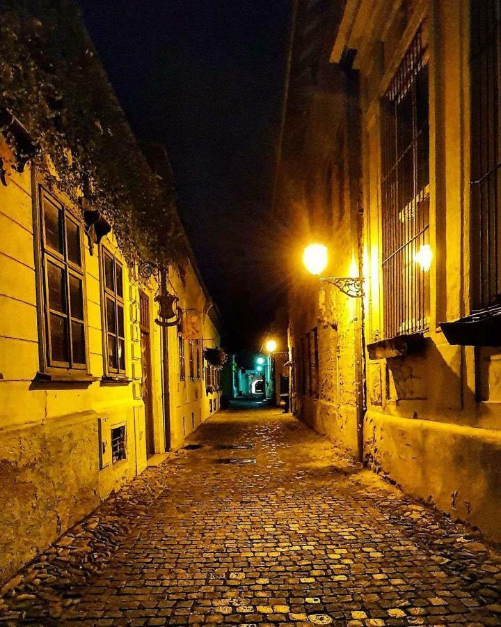 Old Town Vintage Apartment Sturova コシツェ エクステリア 写真